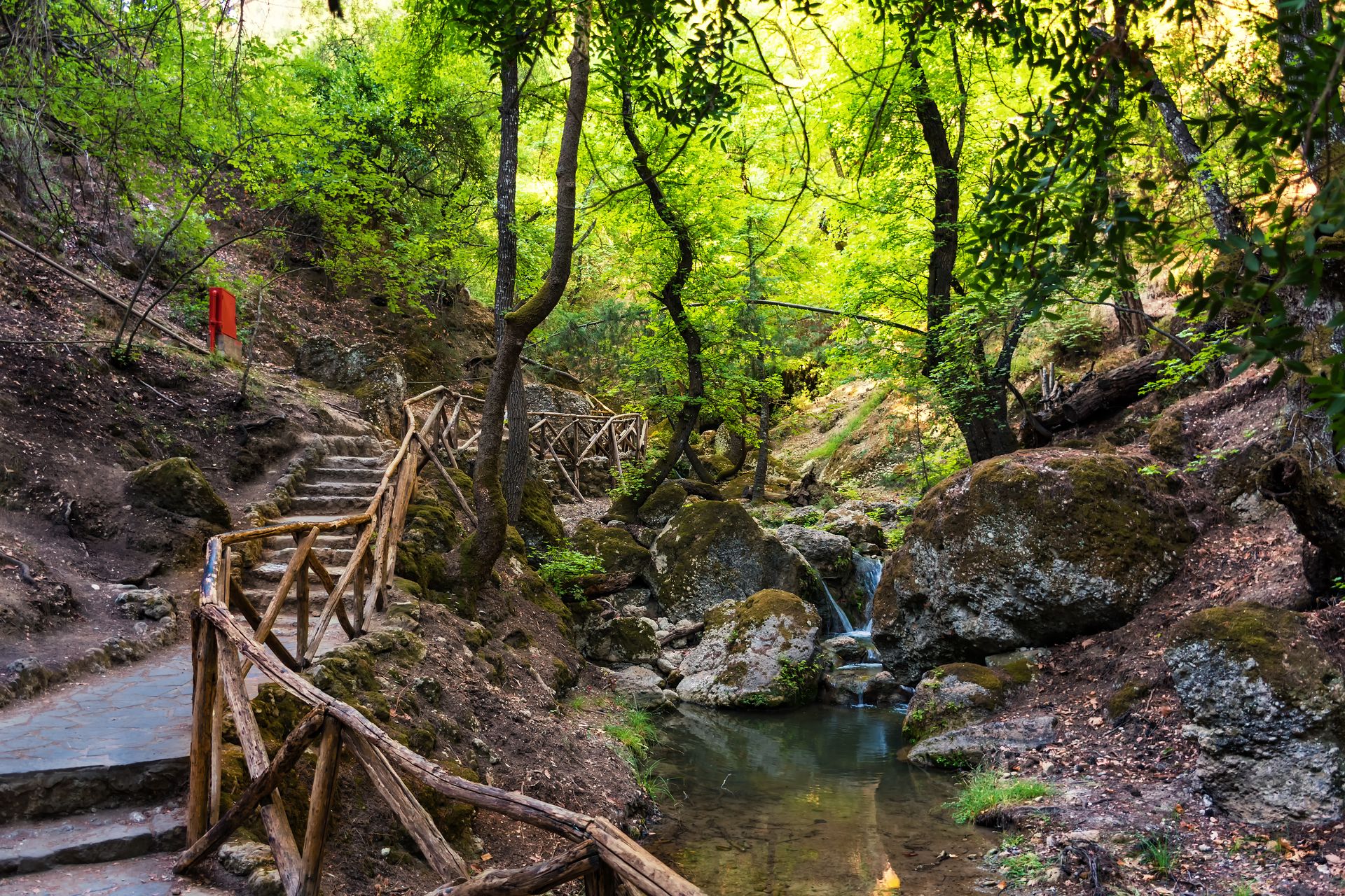 Walk Among Sweetgum Trees In Butterfly Valley (rhodes, Greece)